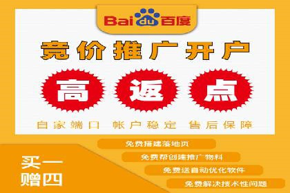 SEM托管公司案例研究：优化策略解析